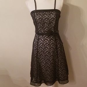 WHBM Black Lace over White Sleeveless Dress
